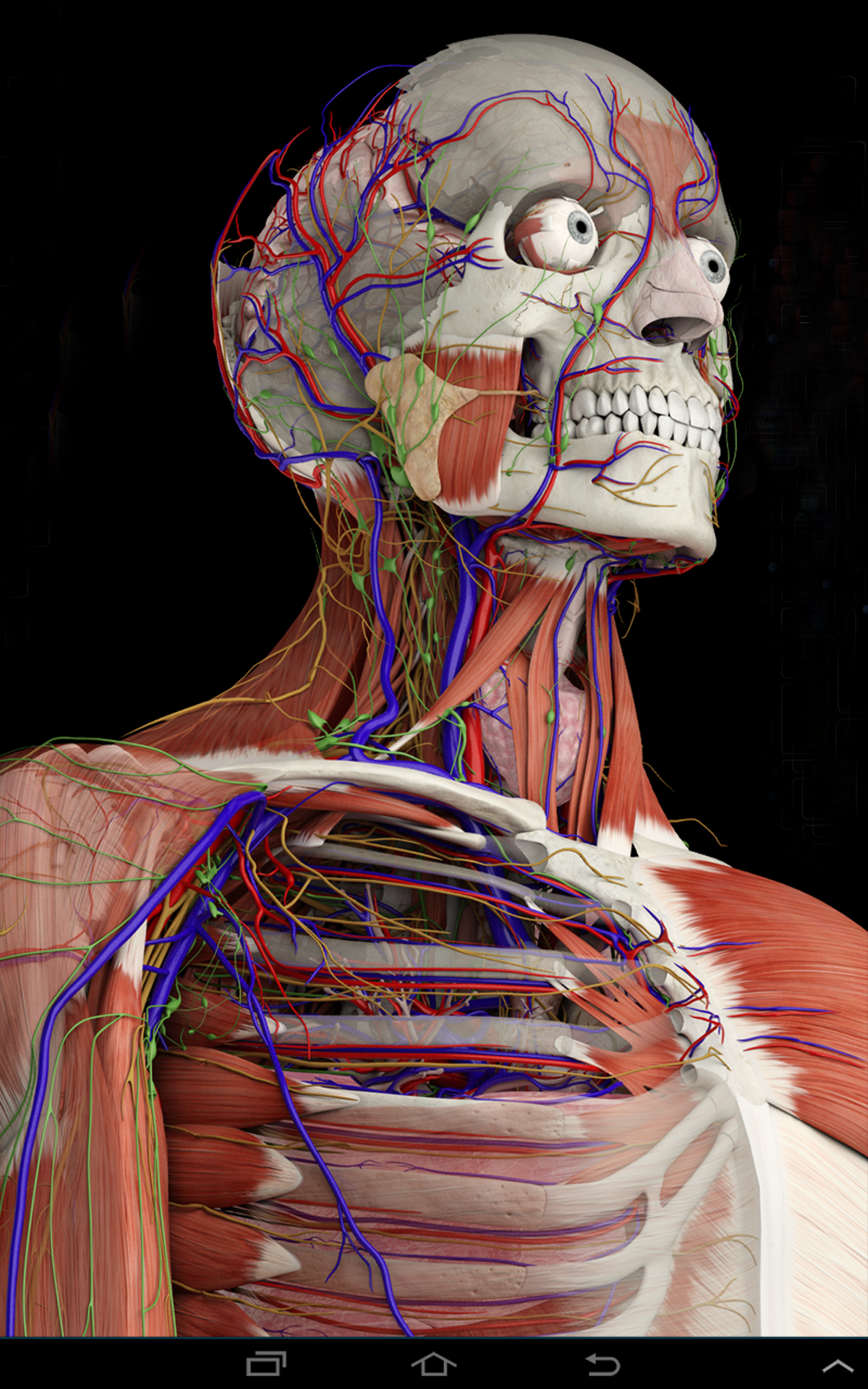 Yogaraum